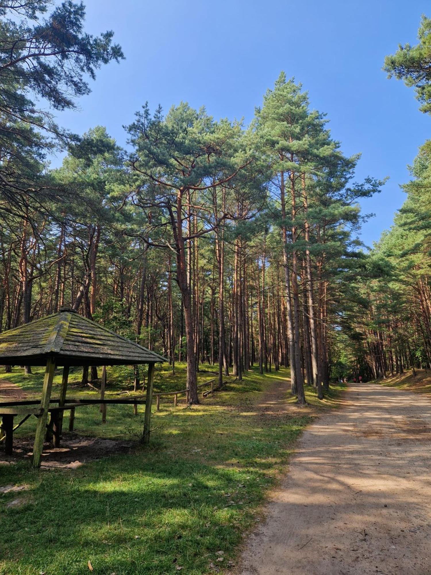 Apartamenty Promyk Wiselka Bagian luar foto